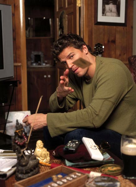 David_boreanaz_home_4