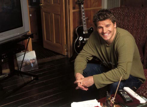 David_boreanaz_home_6