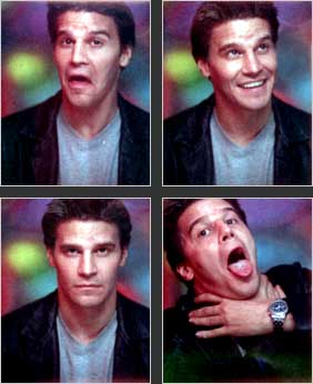 Photo_david_boreanaz