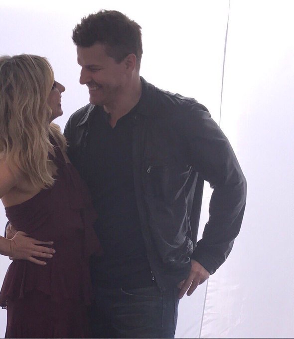 SMG and DB