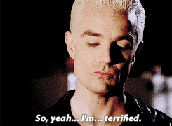 tumblr_n5xfjk87NG1sah7u0o6_250.gif