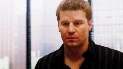 tumblr_lt6llxiSBG1qlpubfo2_250.gif