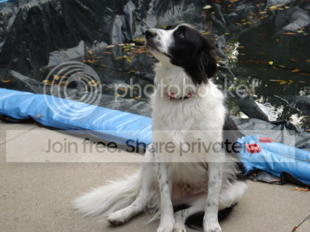 DSC00320.jpg